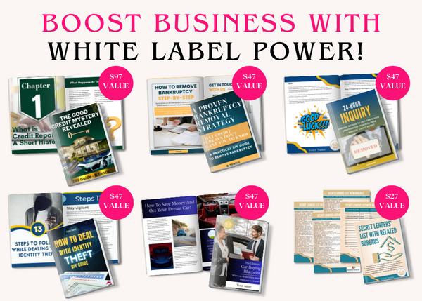 DIY Credit Repair Power-Pack White Label Bundle -With Lifetime Commercial Rights - Editable In Canva