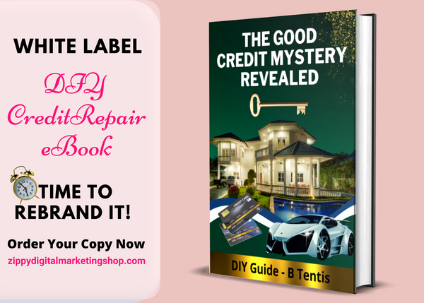 DIY Private Label Credit Repair eBook With Commercial License