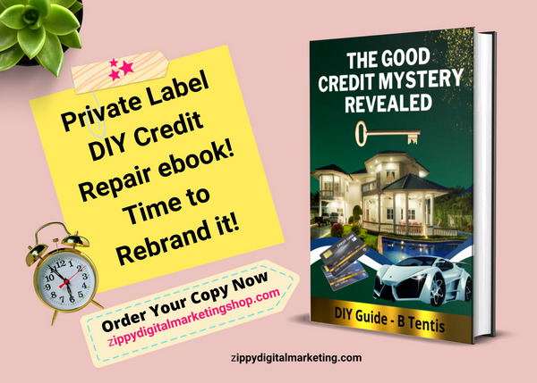 DIY Private Label Credit Repair eBook With Commercial License